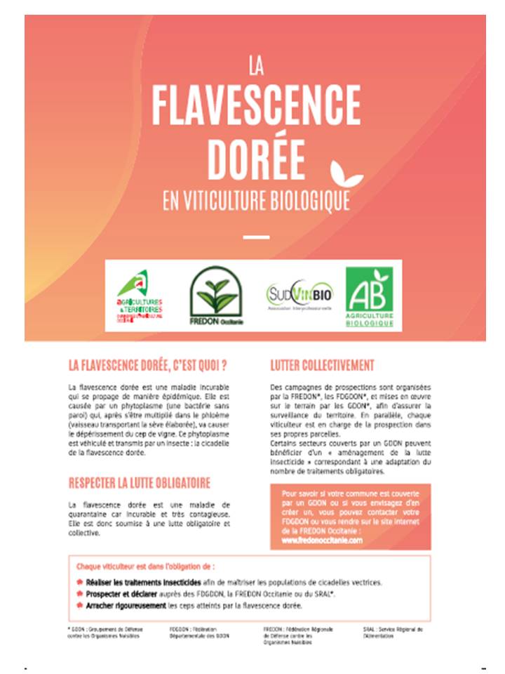 Couverture plaquette fd bio 2019