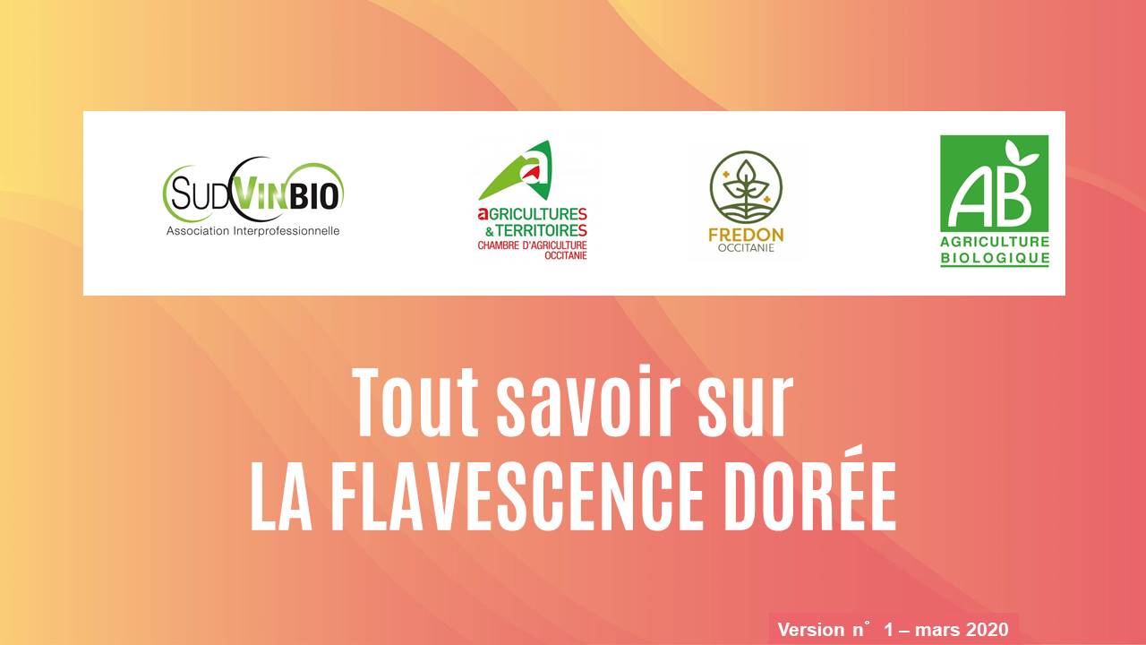 Couverture ppt fd svb mars 2020