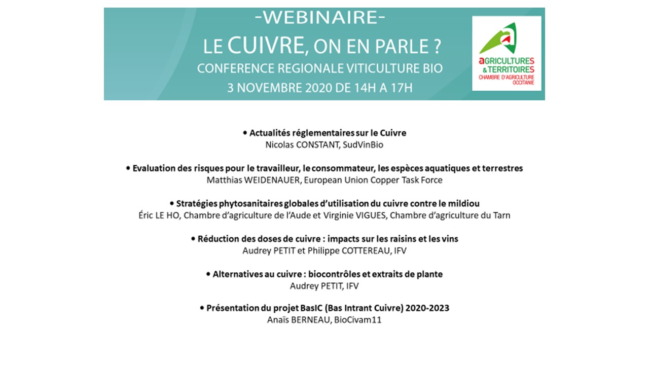 Couverture webinar cuivre 3 nov 2020